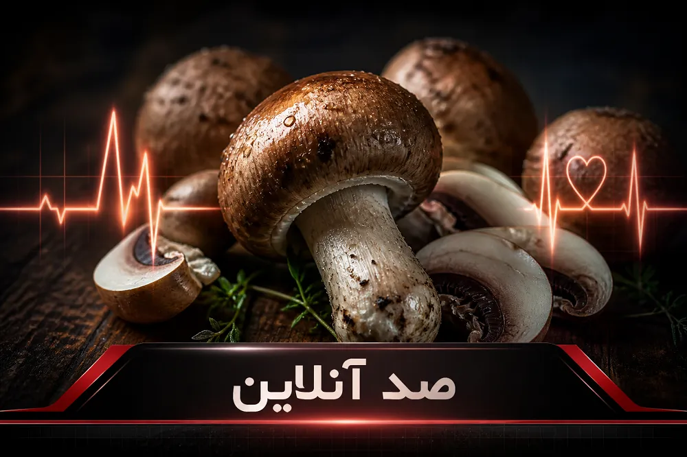 خطرات مصرف روزانه قارچ برای قلب، عروق و سلامت معده