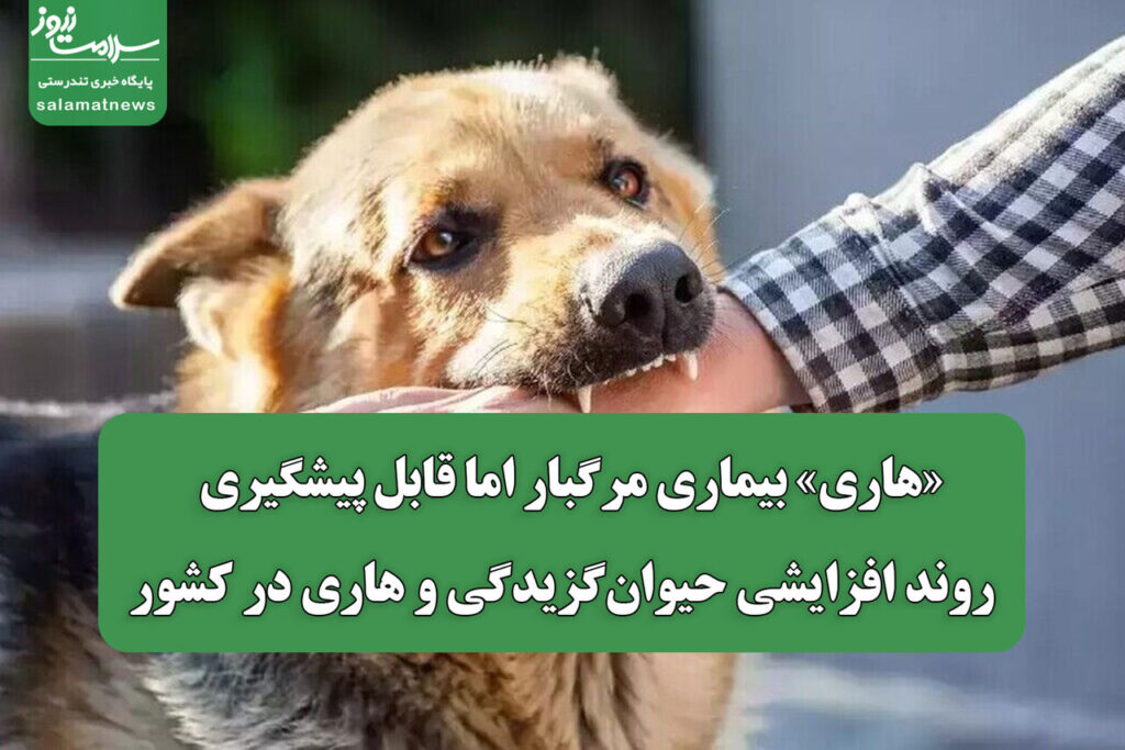 افزایش حیوانگزیدگی و هاری در کشور؛ بیماری مرگبار اما قابل پیشگیری