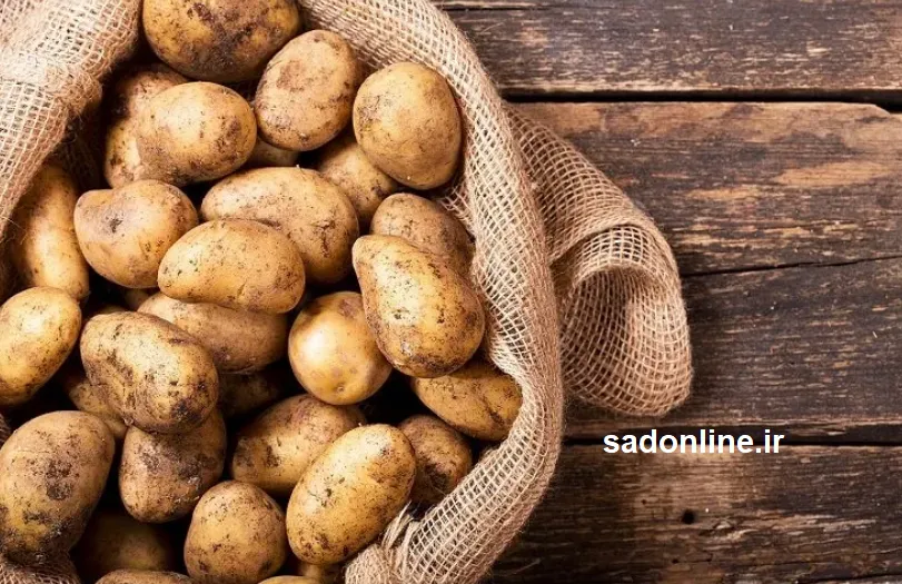 مصرف گسترده سیبزمینی در دوران گرانی؛ جایگزین ارزان گوشت و مرغ یا تهدیدی برای سلامت