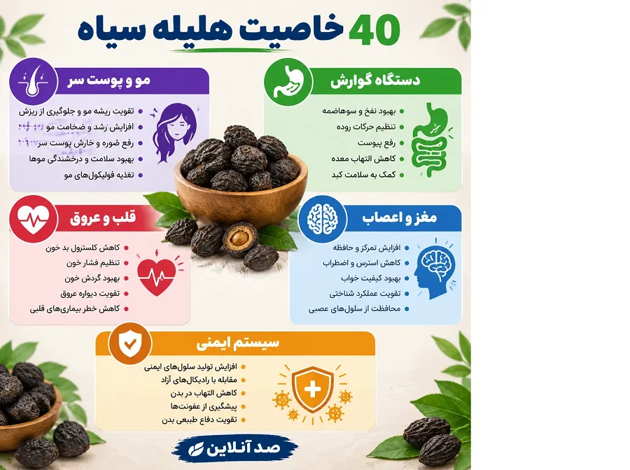 خواص درمانی و فواید بینظیر هلیله سیاه در طب سنتی؛ از بهبود سلامت مو تا تقویت حافظه