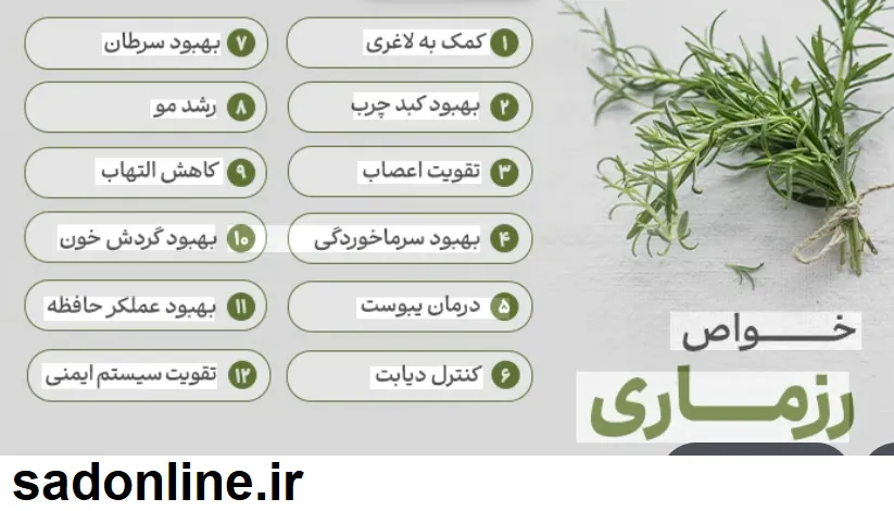 رزماری گیاهی چندفایده برای حافظه، کبد و مو