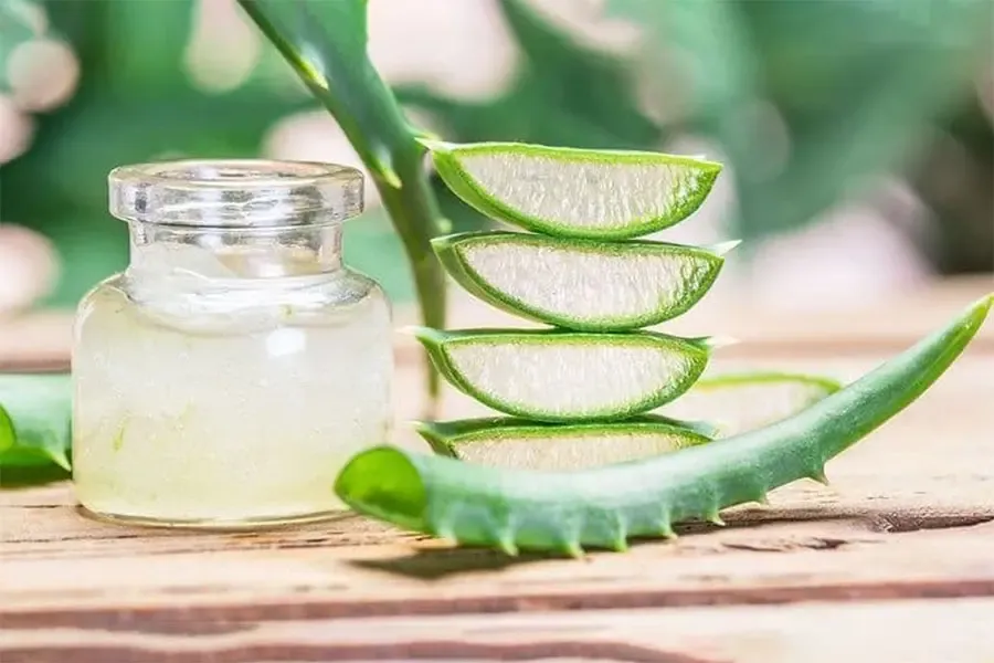 آیا استفاده روزانه از ژل آلوئه‌ورا برای صورت مناسب است