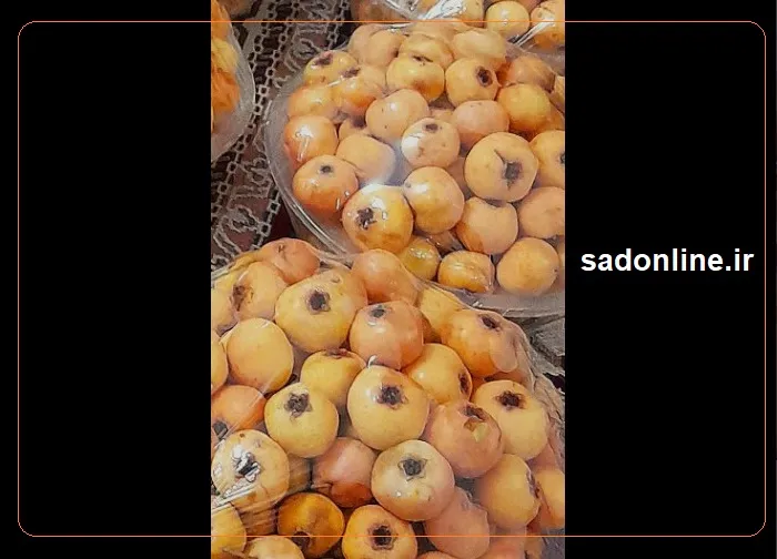 فصل صفرشویی بدن با خواص زالزالک در پاییز برای مقابله با ۴۳ بیماری