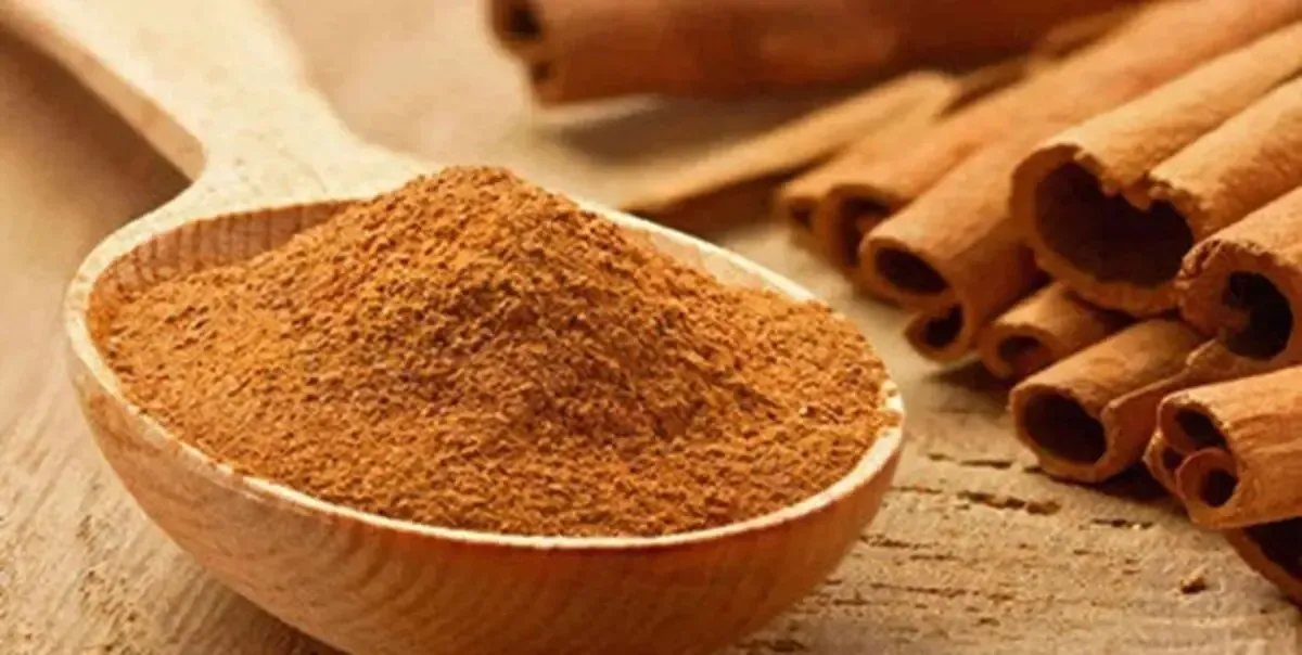 راههای افزودن دارچین به رژیم غذایی برای بهرهمندی از خواص آن