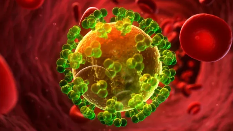 پایدار ماندن ویروس شبیه HIV در بدن میمون پس از یک دوز پادتن آزمایشی
