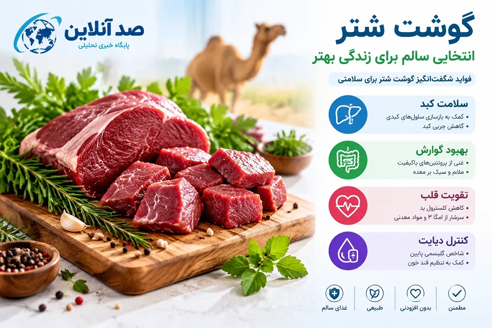 گوشت شتر، درمان مدرن و سنتی برای کبد چرب، دیابت و مشکلات قلبی
